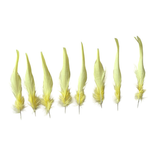 Bulk Sulfur-Crested Cockatoo Feathers (Cacatua galerita) - Real Yellow Bird Feathers for DIY Crafts, Millinery & Jewelry Making