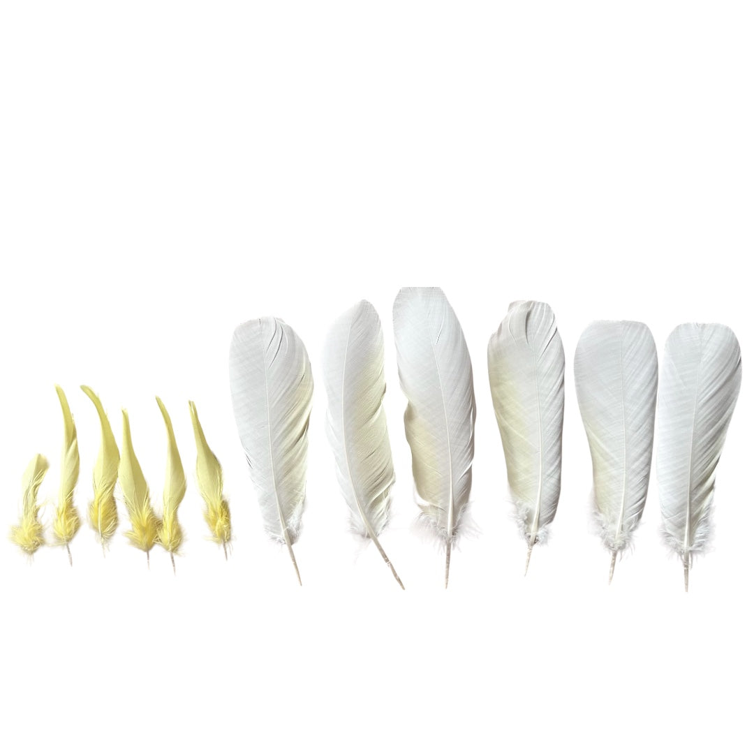 Sulphur-crested Cockatoo Feathers (Cacatua galerita) | Ethical Bulk Buy for DIY Crafts, Millinery & Smudging | 12pc